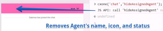 hideAssignedAgent