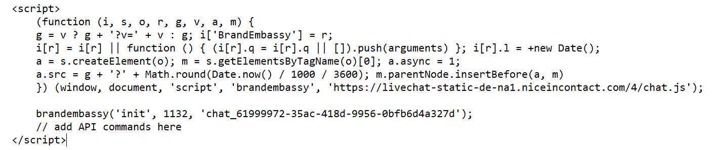 An example of the Javascript initialization script with a comment indicating the location where you would add API commands. 