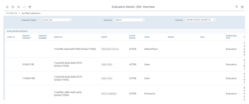 The Evaluation Details report: A table with columns showing evaluation data by agent.