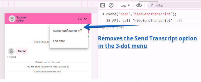 hideSendTranscript