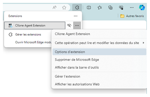 Options, l’icône à trois points, près de l’extension de navigateur Agent a été cliquée. Une autre fenêtre contextuelle présente l'option Afficher dans la barre d’outil.