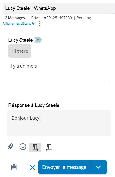 Un brouillon de message WhatsApp, avec les messages du contact, un texte, une boîte et un bouton Envoyer un message.