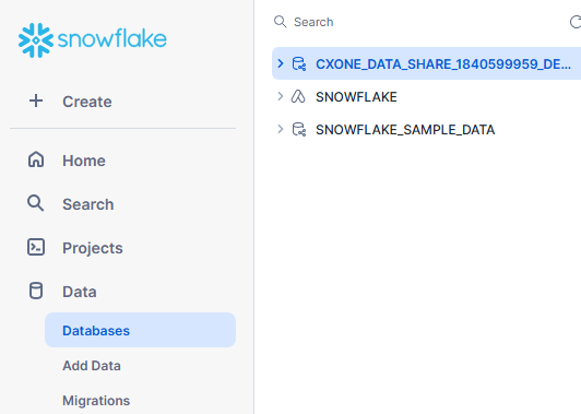 Snowflake개 데이터베이스의 스크린샷